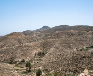 pexels-son-tung-tran-6469806